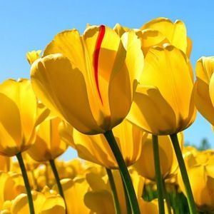 Meet your Posher, Kristin